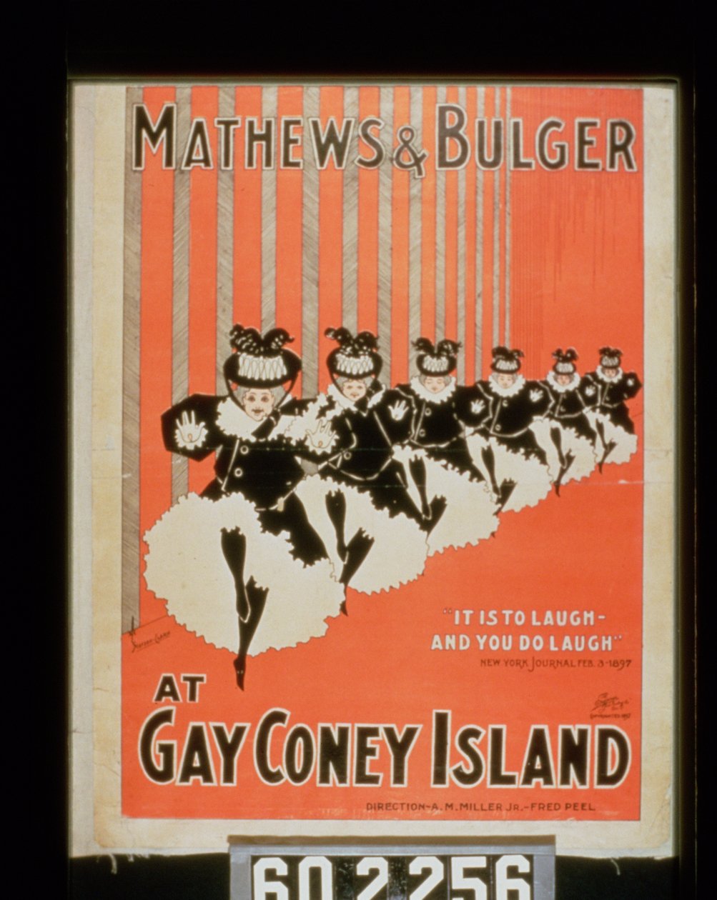 Gay Coney Adası