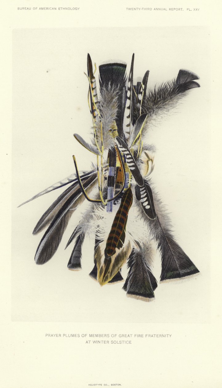  by American School