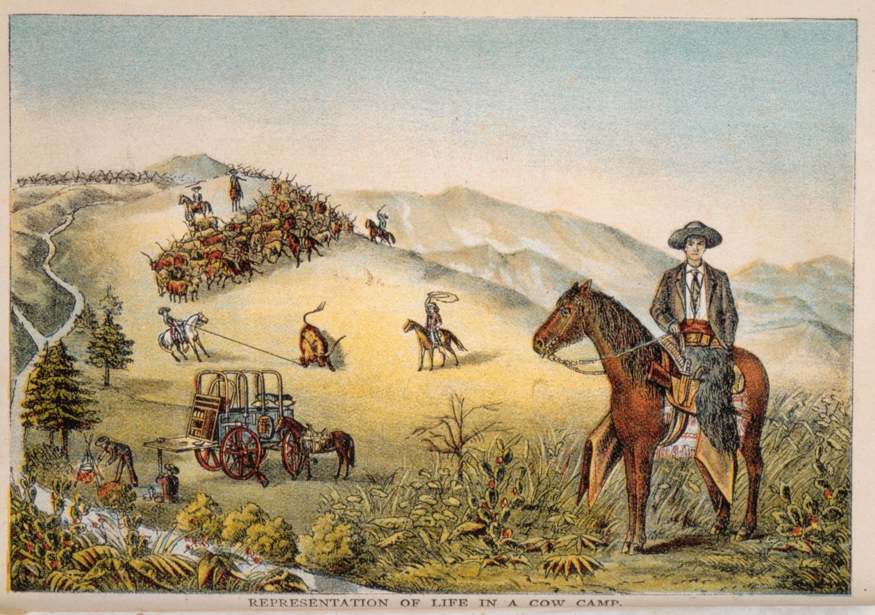 İnek Kampında Yaşamın Temsili by American School