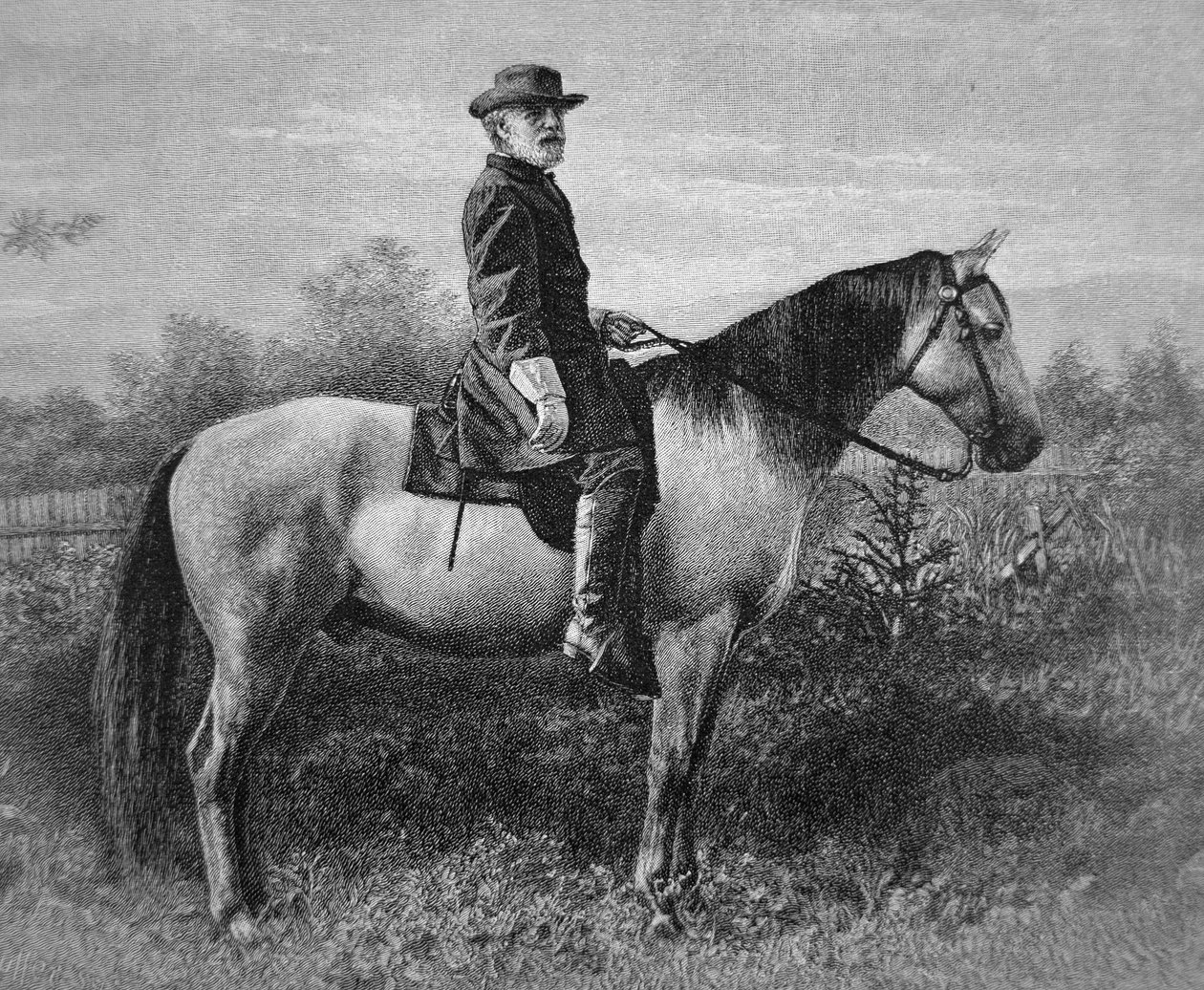 Robert E. Lee (1807-70) savaş atı 