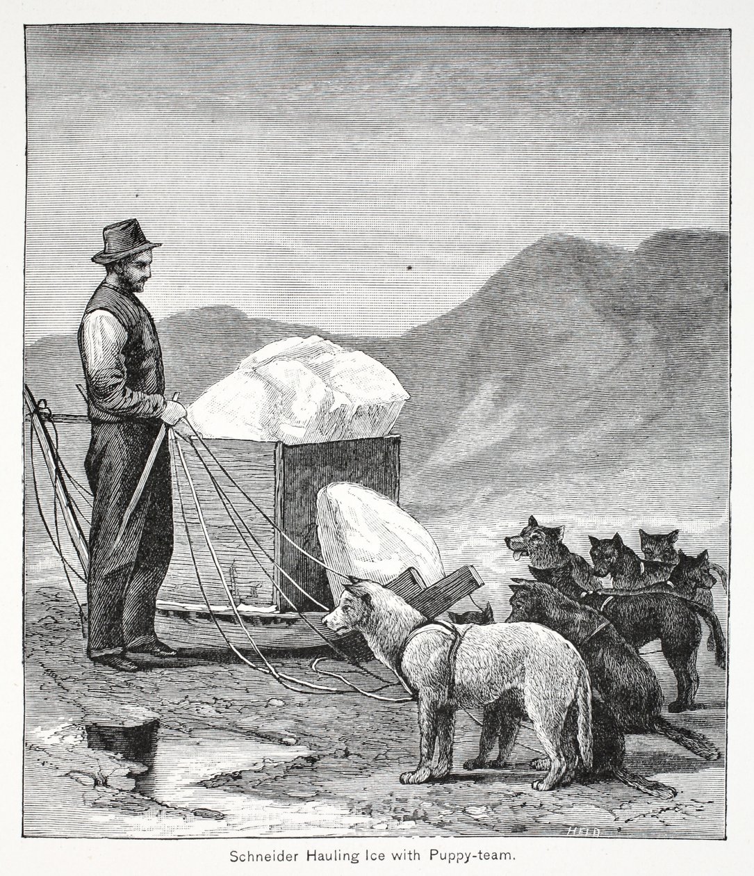 Schneider, Puppy ekibiyle buz taşıyor, pub. Londra 1886 by American School