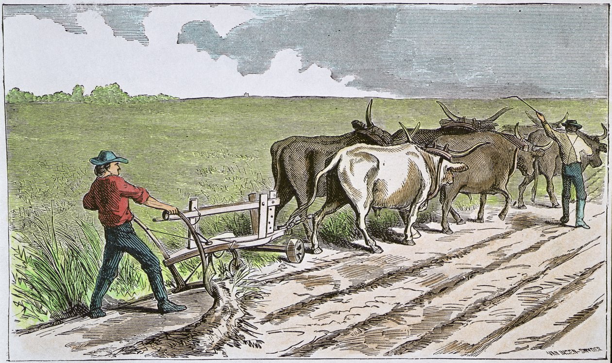 Amerikan Batısının Sodbusters, 1880 dolayları (renkli gravür) by American School