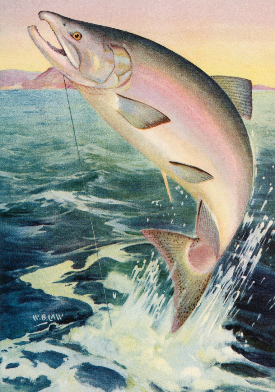 by American School