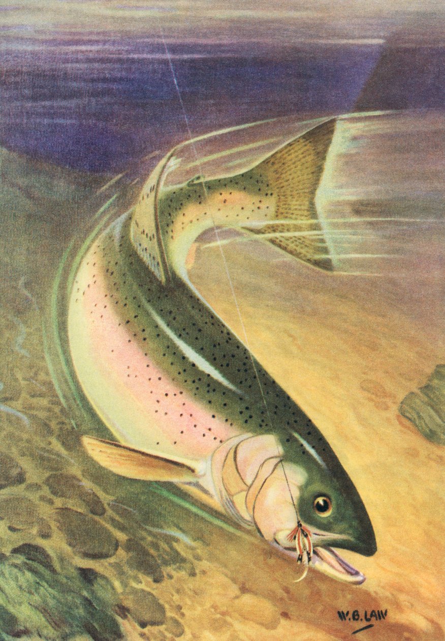  by American School