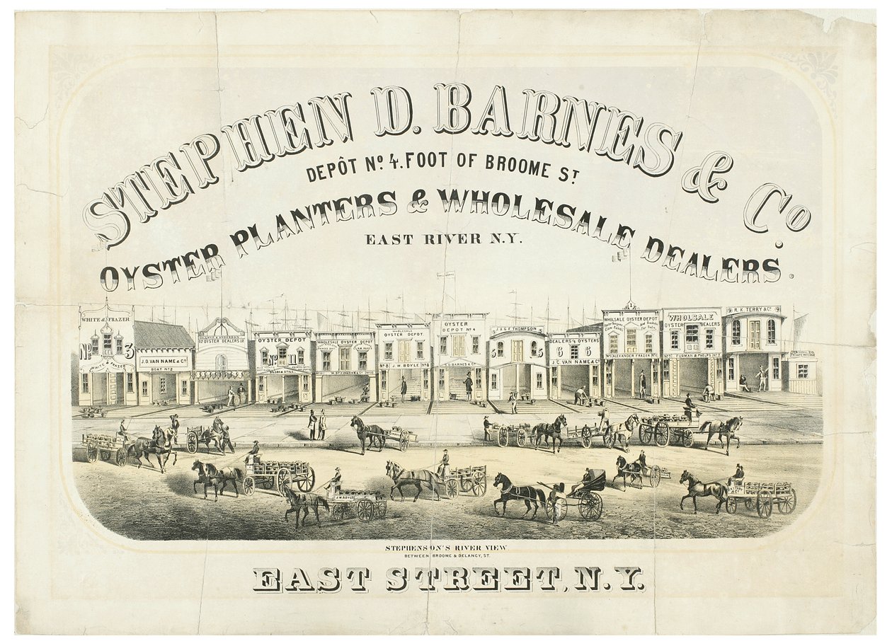 Stephen D. Barnes & Co. Oyster Ekiciler ve Toptancılar, depo no. Broome Caddesi