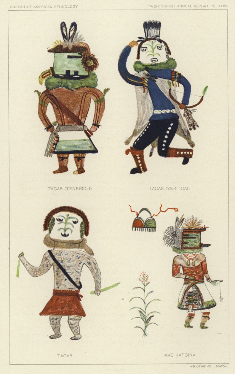  by American School