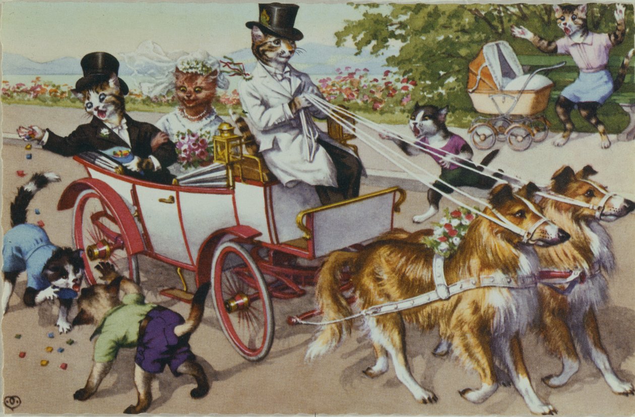  by American School