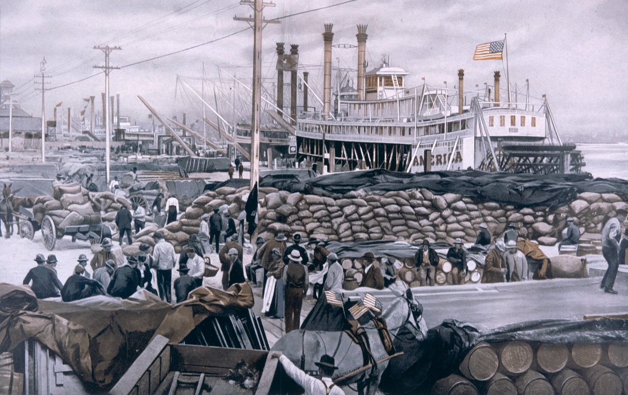 New Orleans Levee by American School