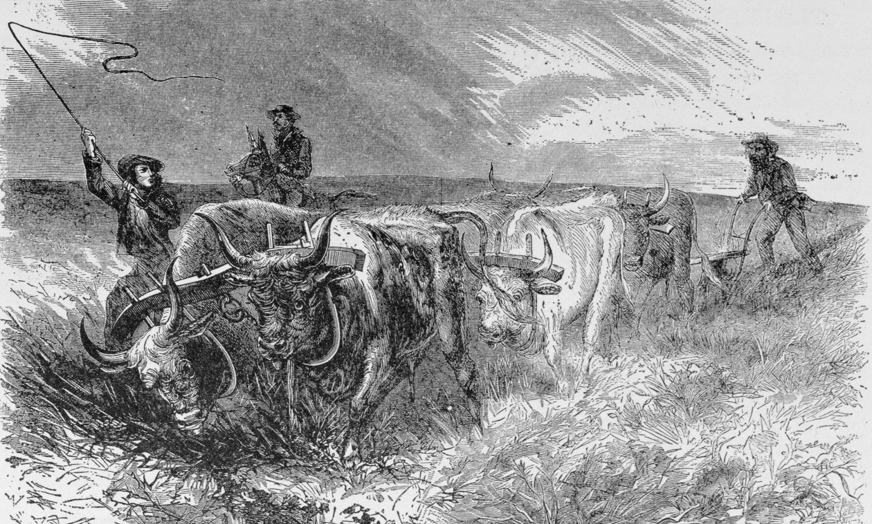 The Prairie Sod Plough, 