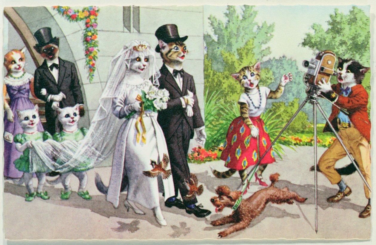  by American School