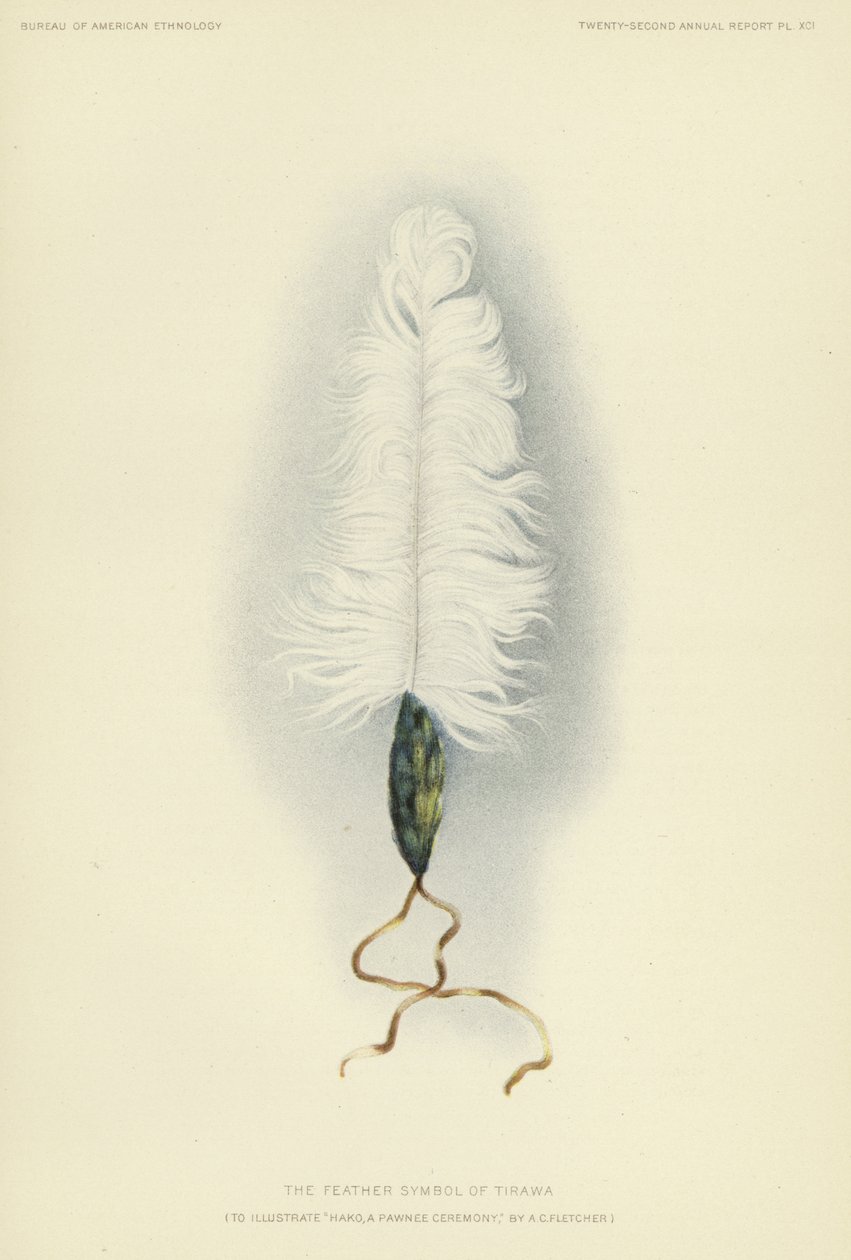  by American School