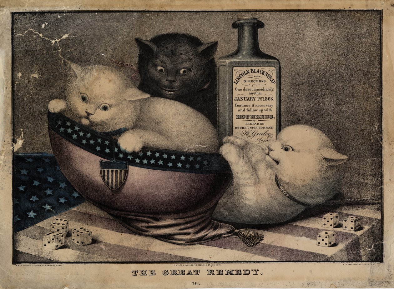 E.B. tarafından yayınlanan büyük çare. ve E.C. Kellogg, Hartford Ct. ve Phelps ve Watson, New York ve F.P. Whiting, New York, c. 1863 by American School