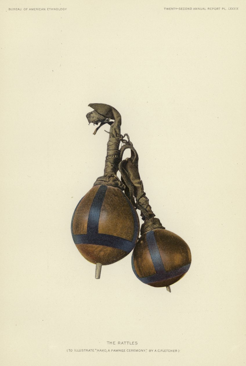  by American School
