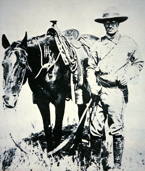 Theodore Roosevelt atıyla birlikte, 1885 dolayları (lito) by American School