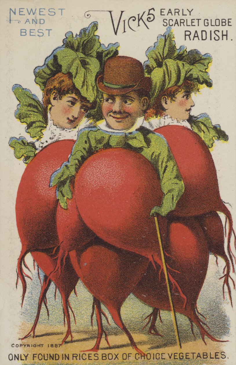  by American School
