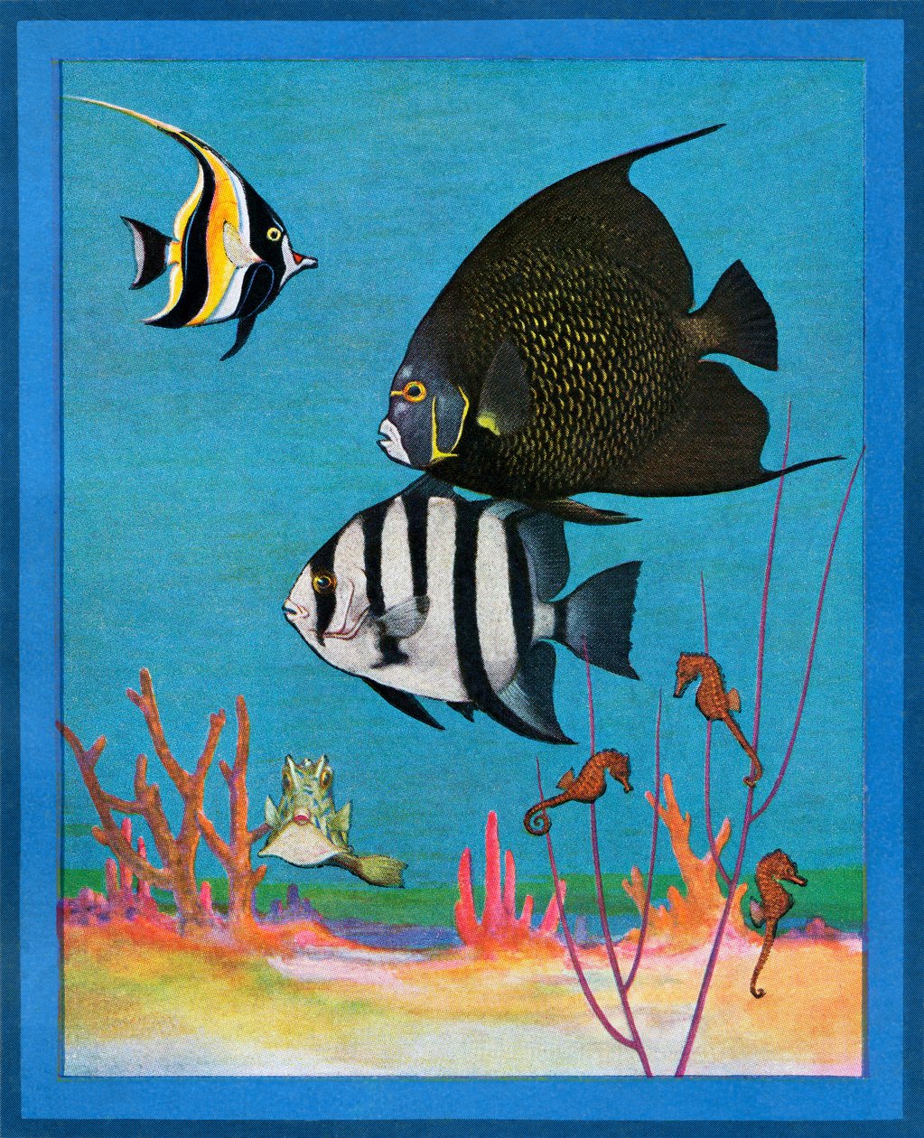  by American School