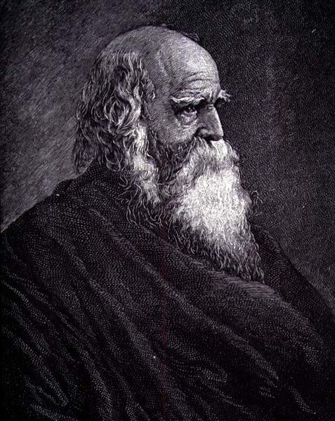 William Cullen Bryant (gravür) by American School