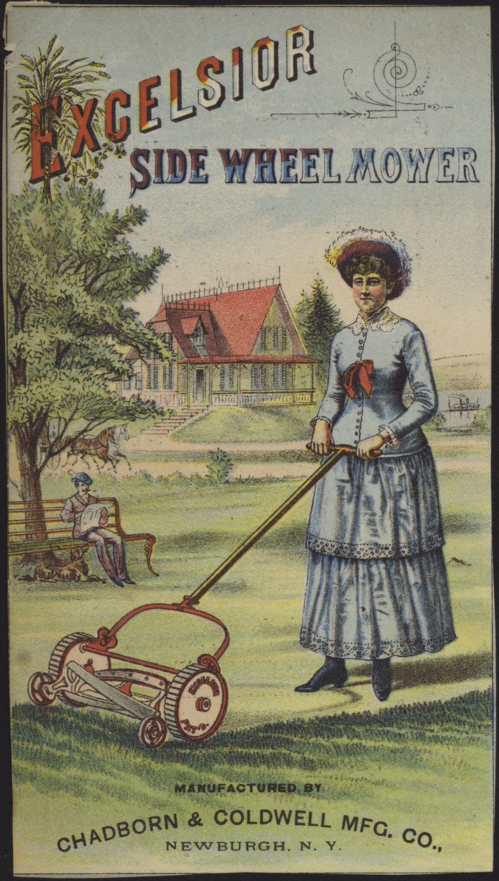  by American School