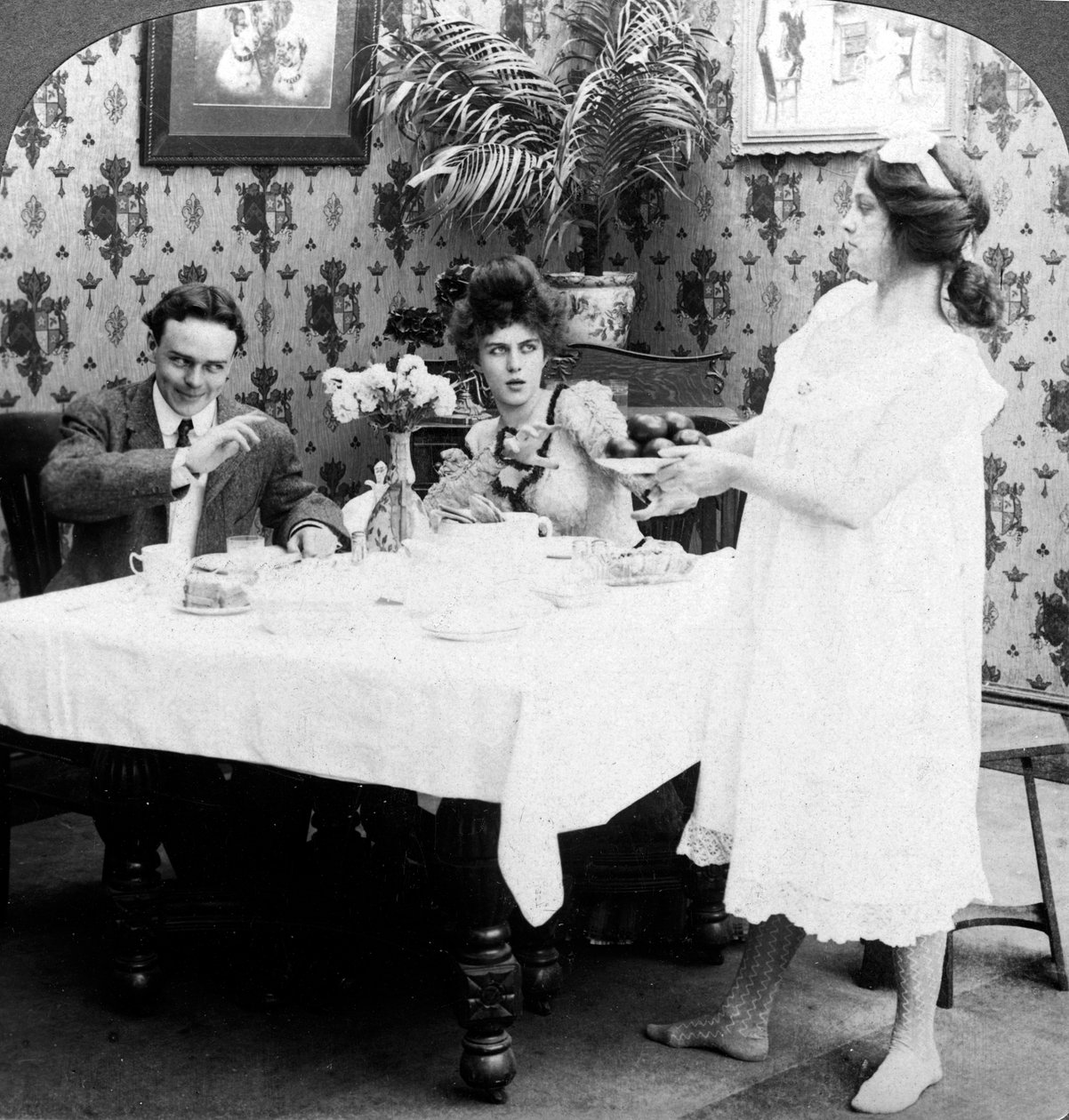 Biddy Domatesleri Soyunmadan Nasıl Servis Ederdi? by American Stereoscopic Company