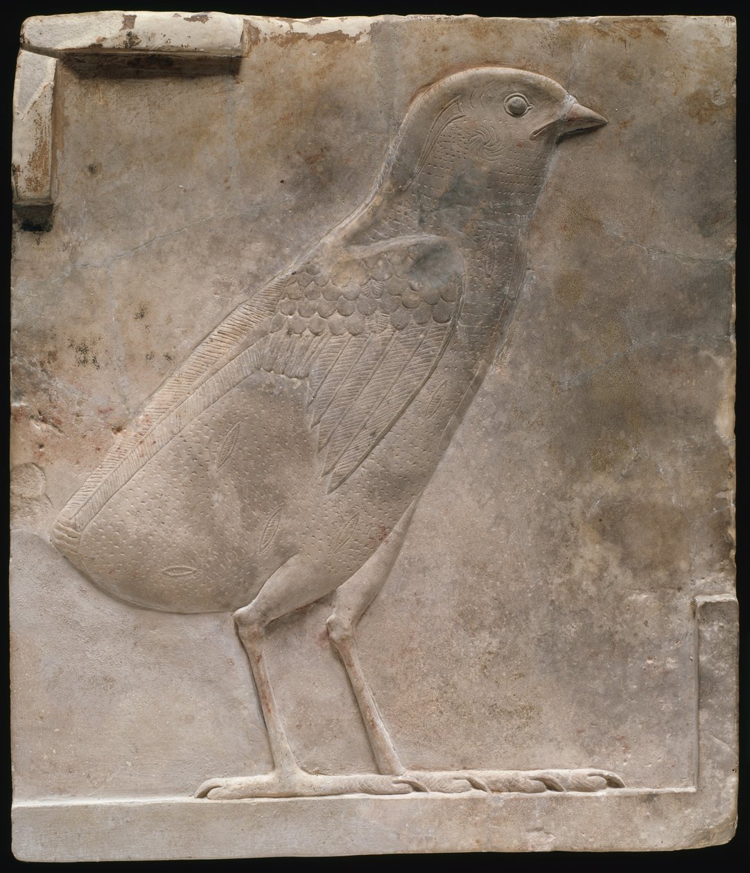  by Ancient Egyptian