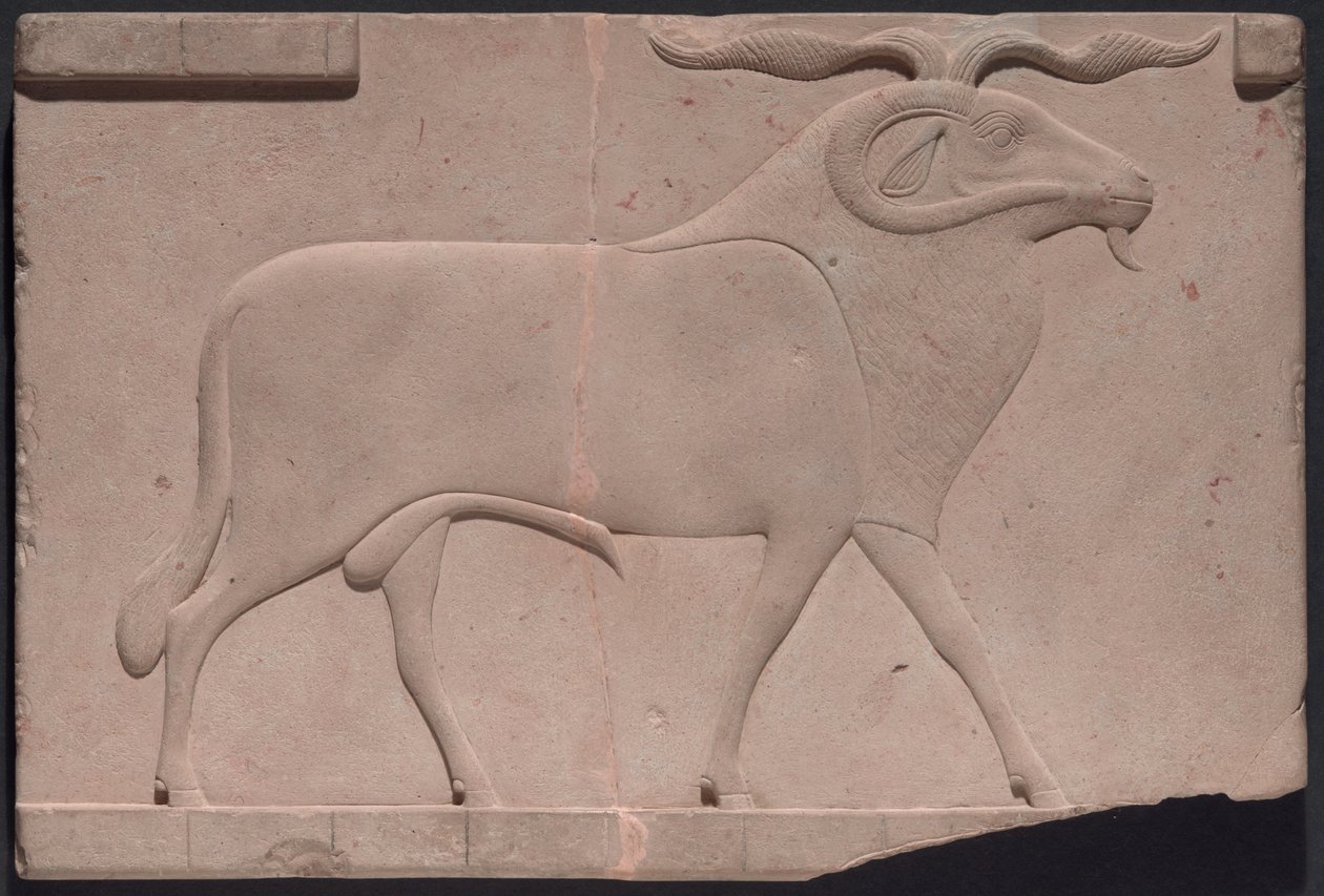  by Ancient Egyptian
