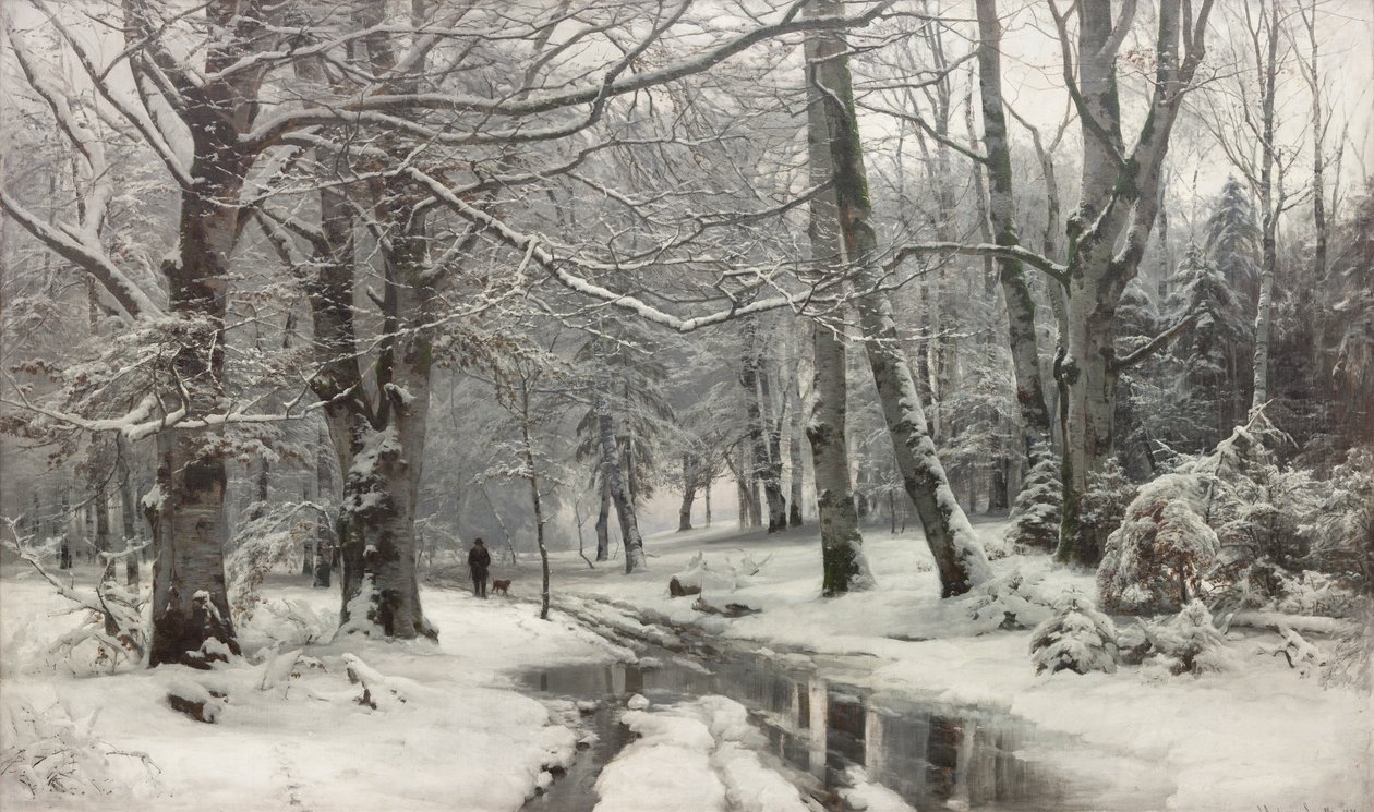 Kayın ormanında çözülme by Anders Andersen Lundby
