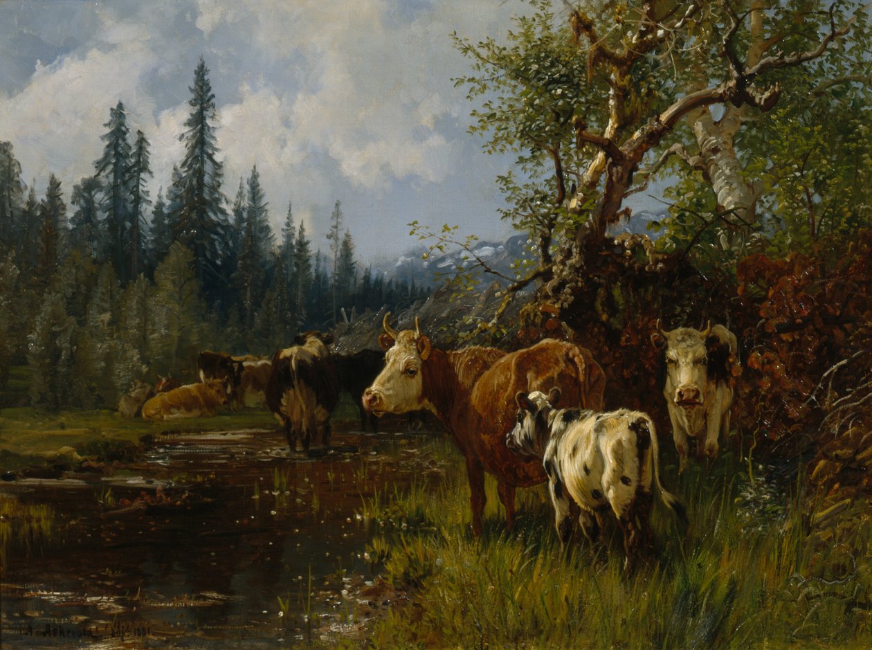  by Anders Askevold