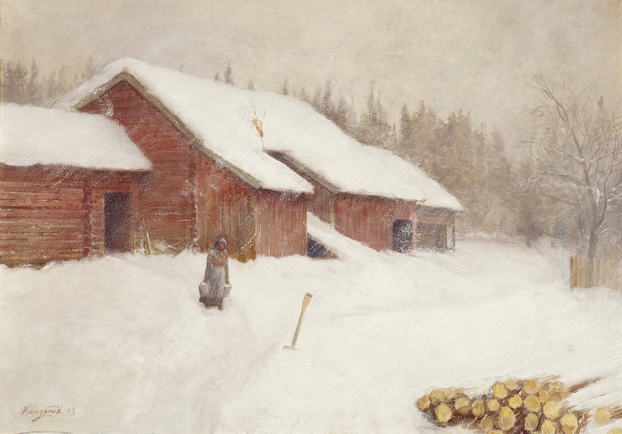 Kar sürüklenmesi by Anders Kongsrud