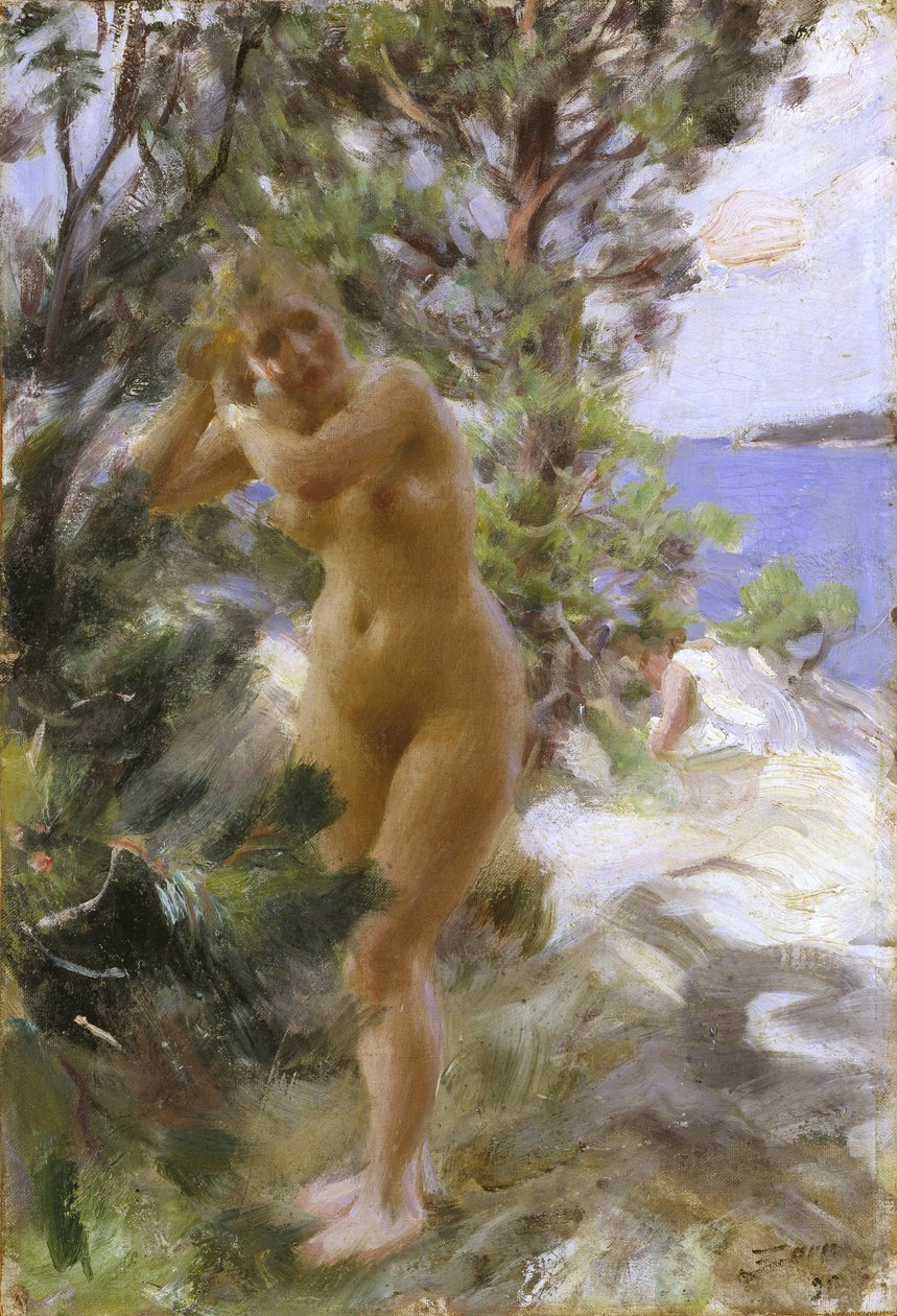 Banyodan Sonra by Anders Leonard Zorn