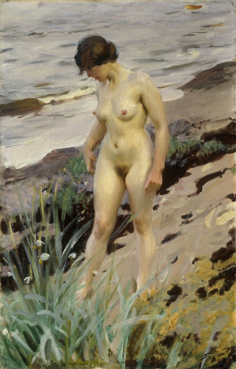 Sandhamn Çalışması, 1914 by Anders Leonard Zorn