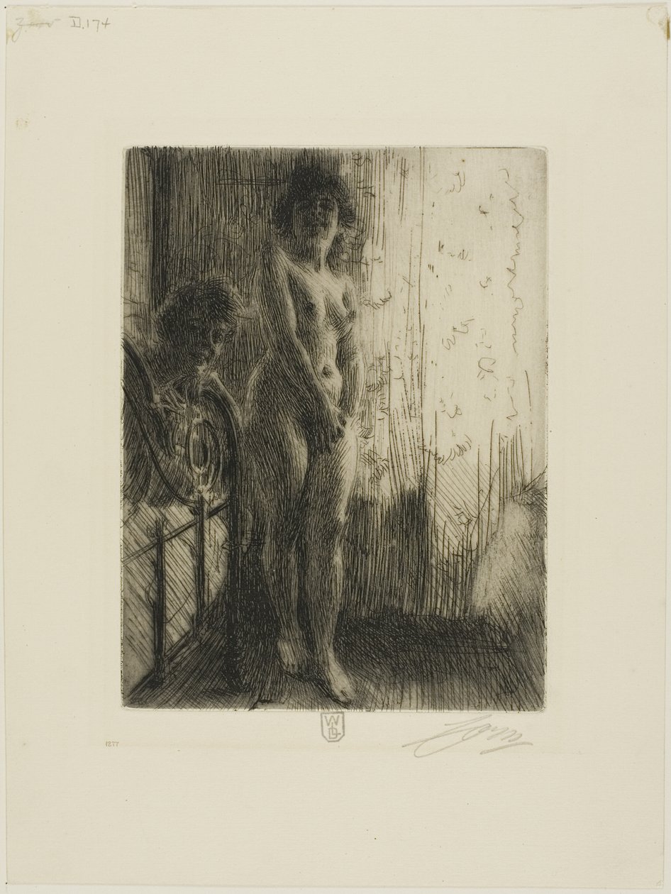 Karanlık Bir Köşe by Anders Leonard Zorn
