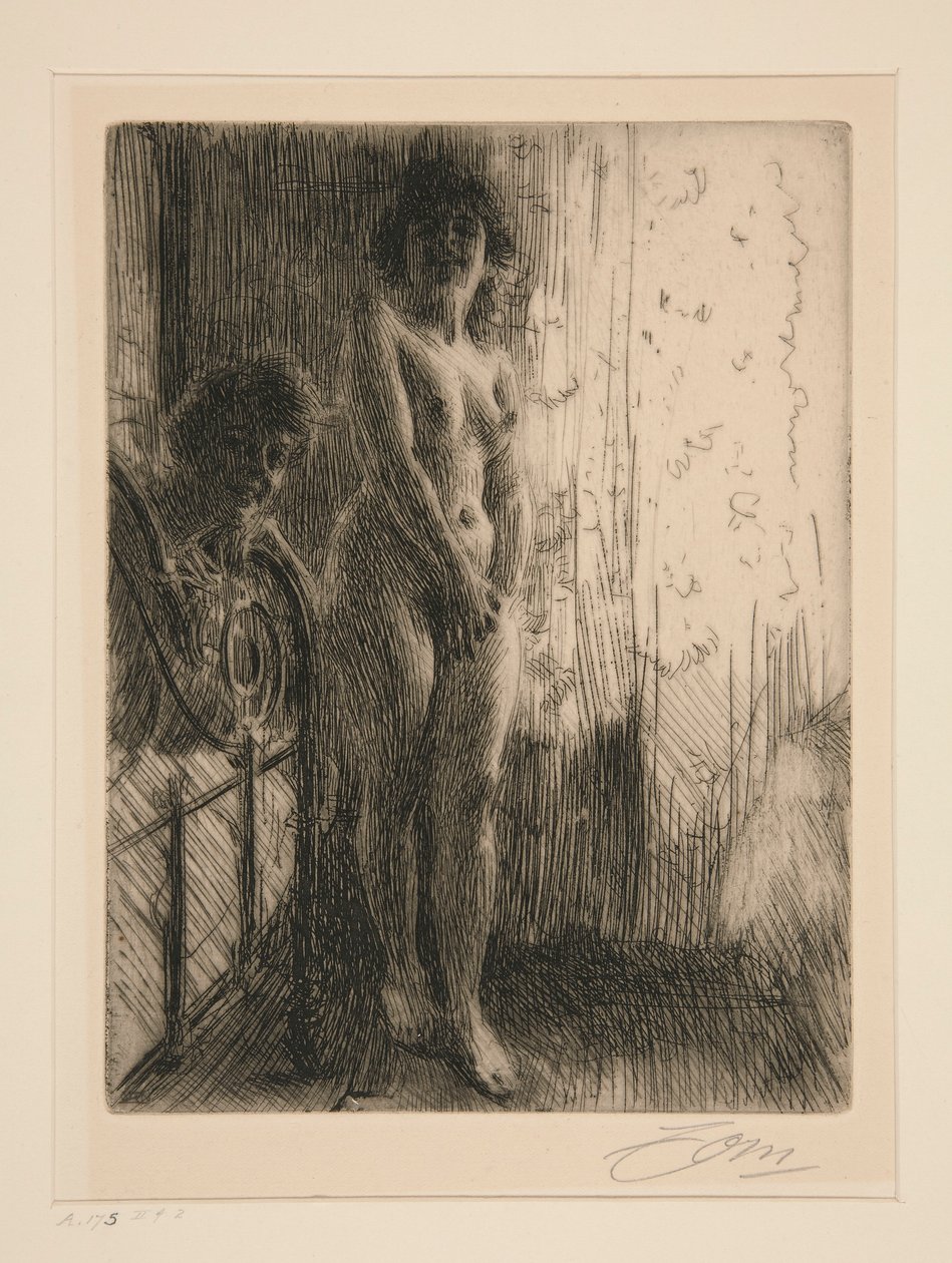 Karanlık Bir Köşe by Anders Leonard Zorn