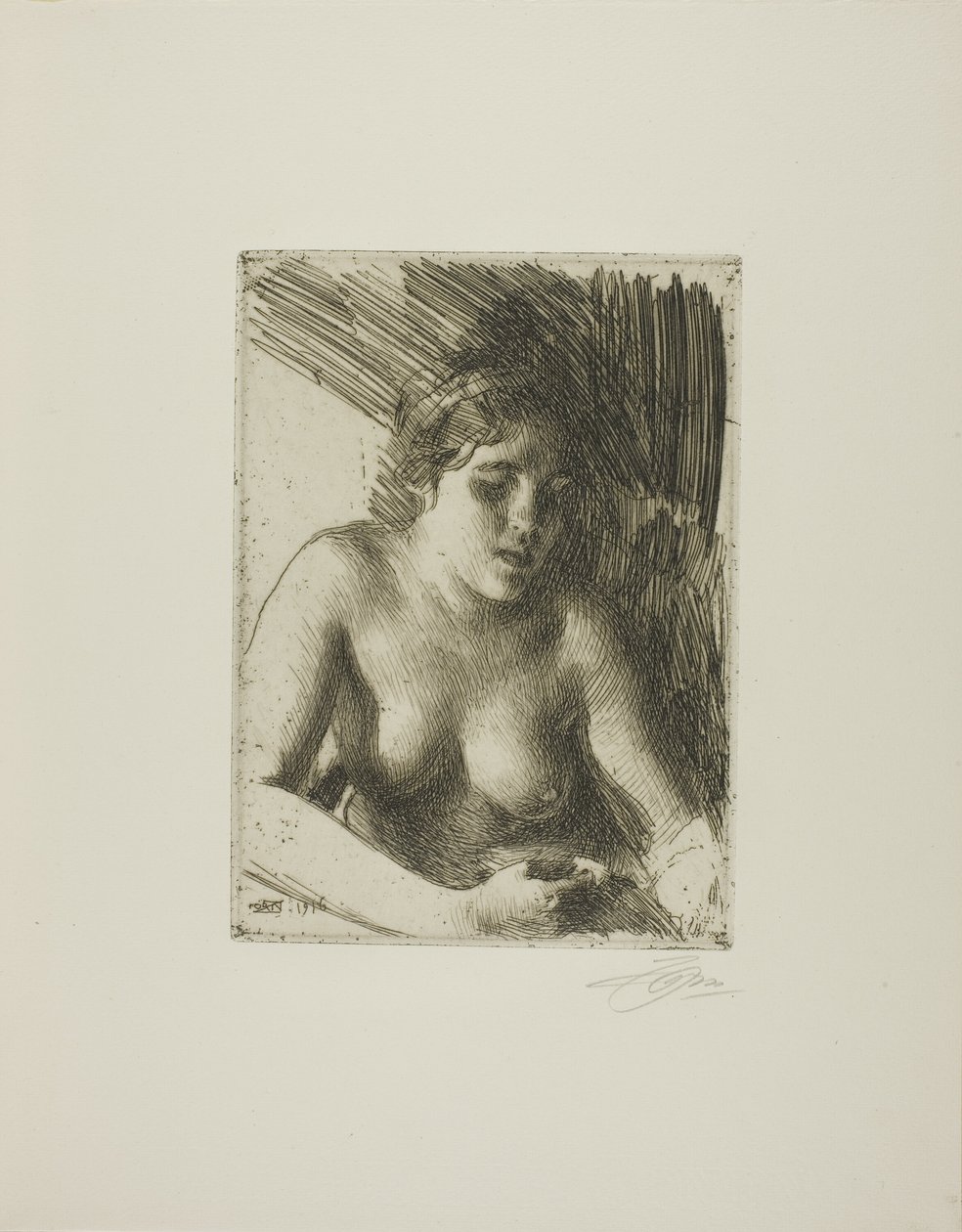 Baskın yapmak by Anders Leonard Zorn