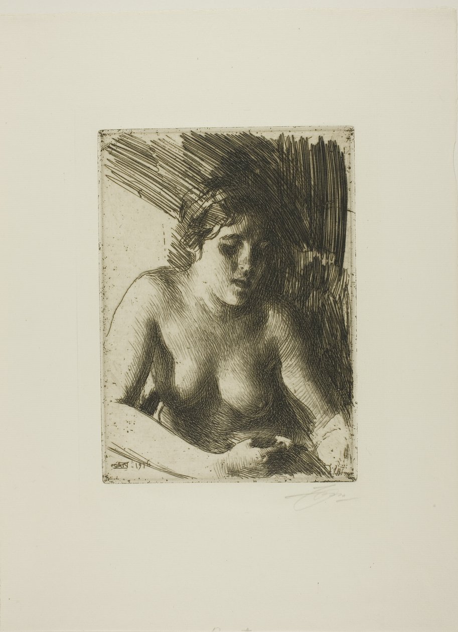 Baskın yapmak by Anders Leonard Zorn