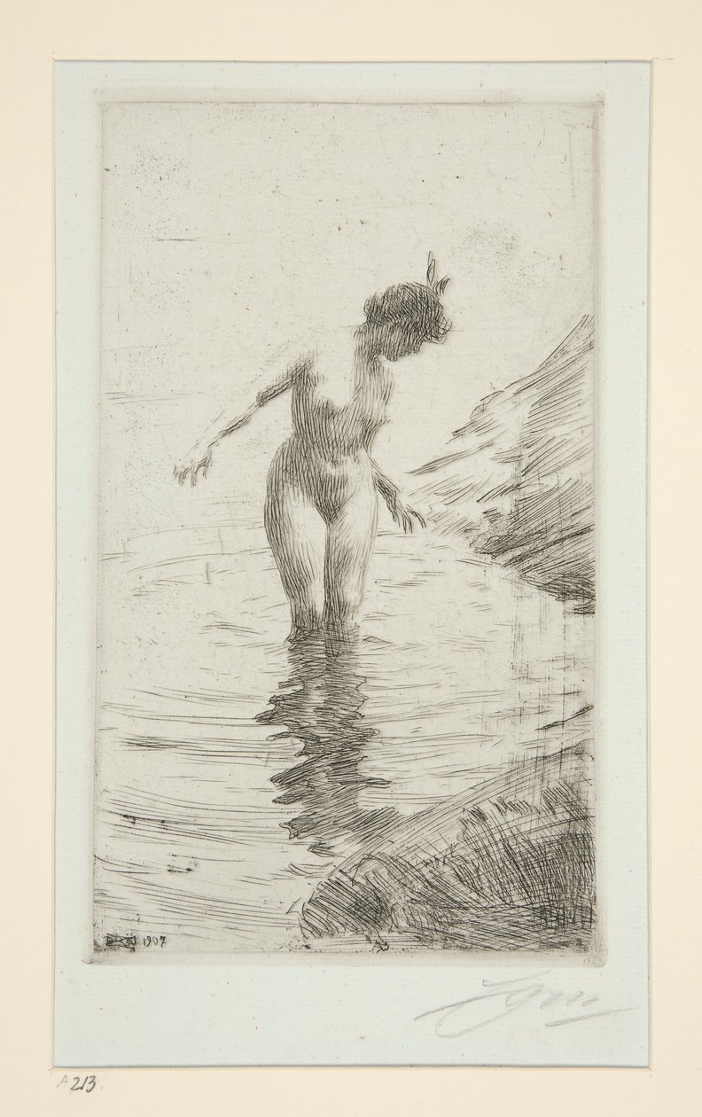 daireler d by Anders Leonard Zorn