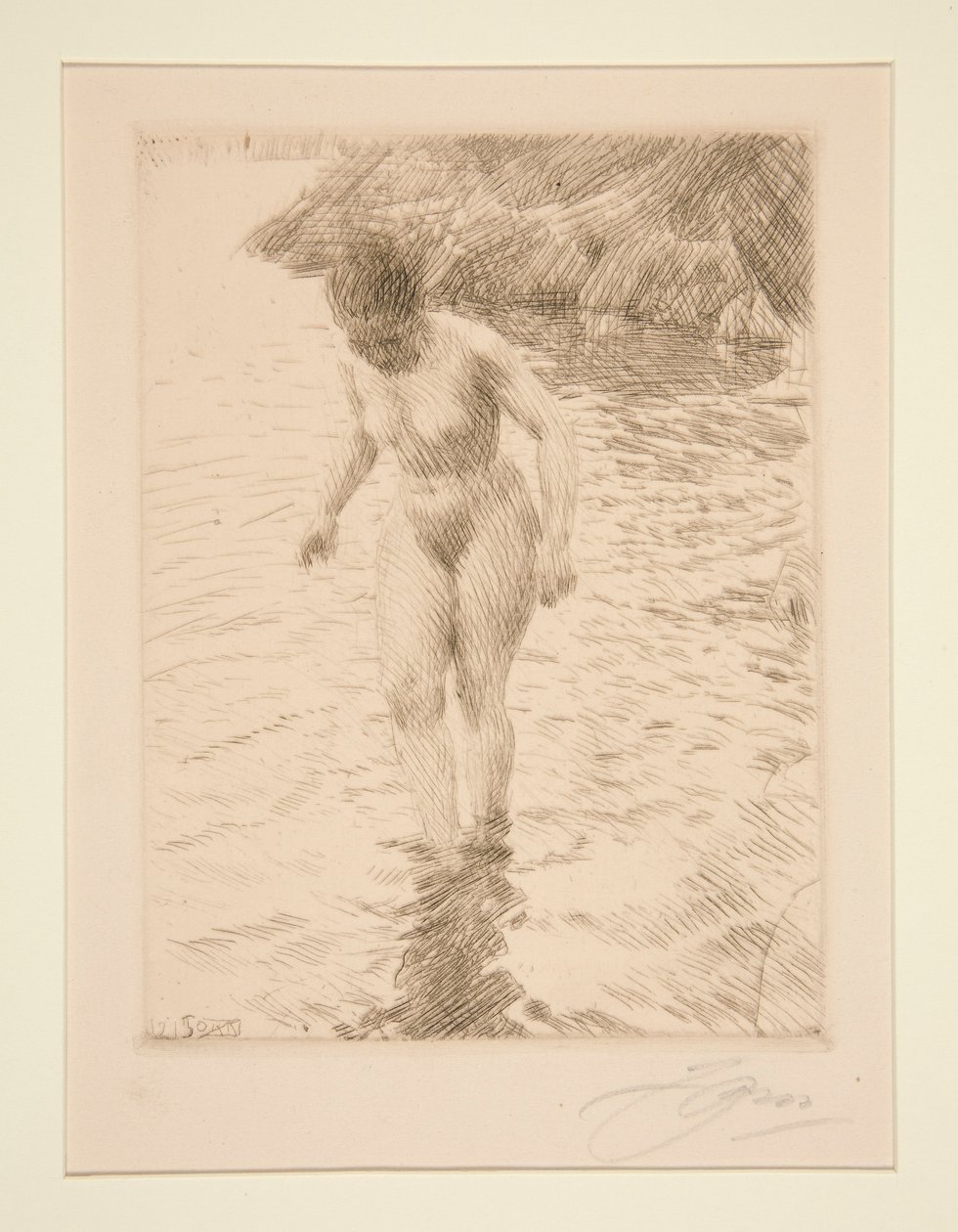 dolar by Anders Leonard Zorn