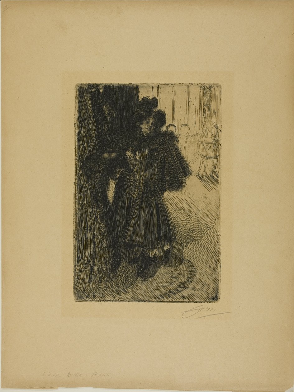 Gece Etkisi II by Anders Leonard Zorn