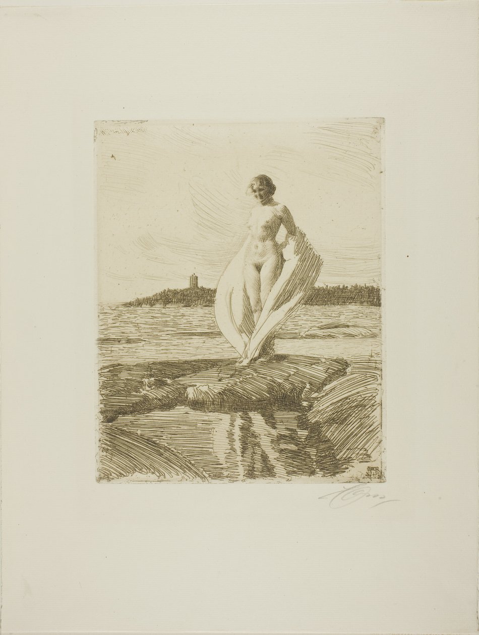 Kuğu by Anders Leonard Zorn
