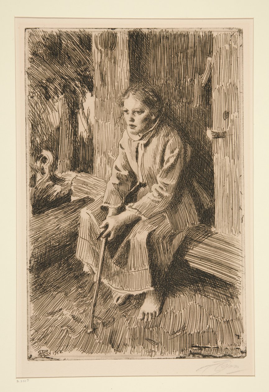proteinli by Anders Leonard Zorn