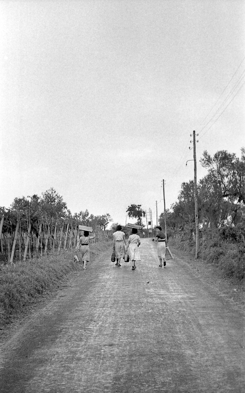 ACI ÜZÜM - ATANAN GÖREV YERİNE DOĞRU by Ando Gilardi