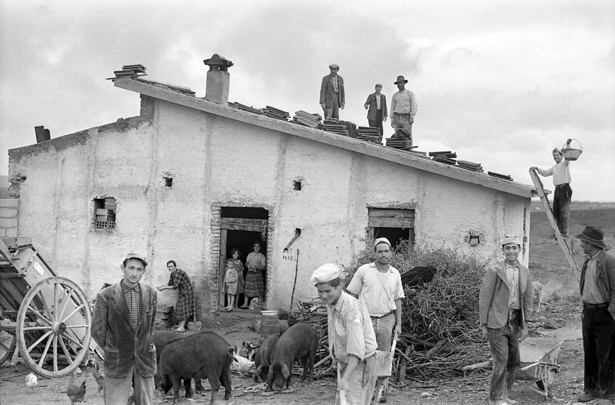 ÇATININ ÖRTÜSÜNÜ KUTLUYOR, by Ando Gilardi