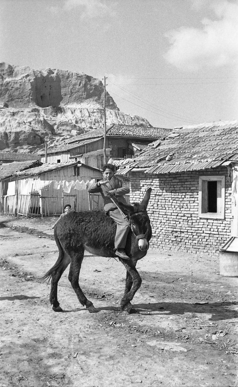 CROTONE - GENÇ KATIR SÜRÜCÜSÜ by Ando Gilardi