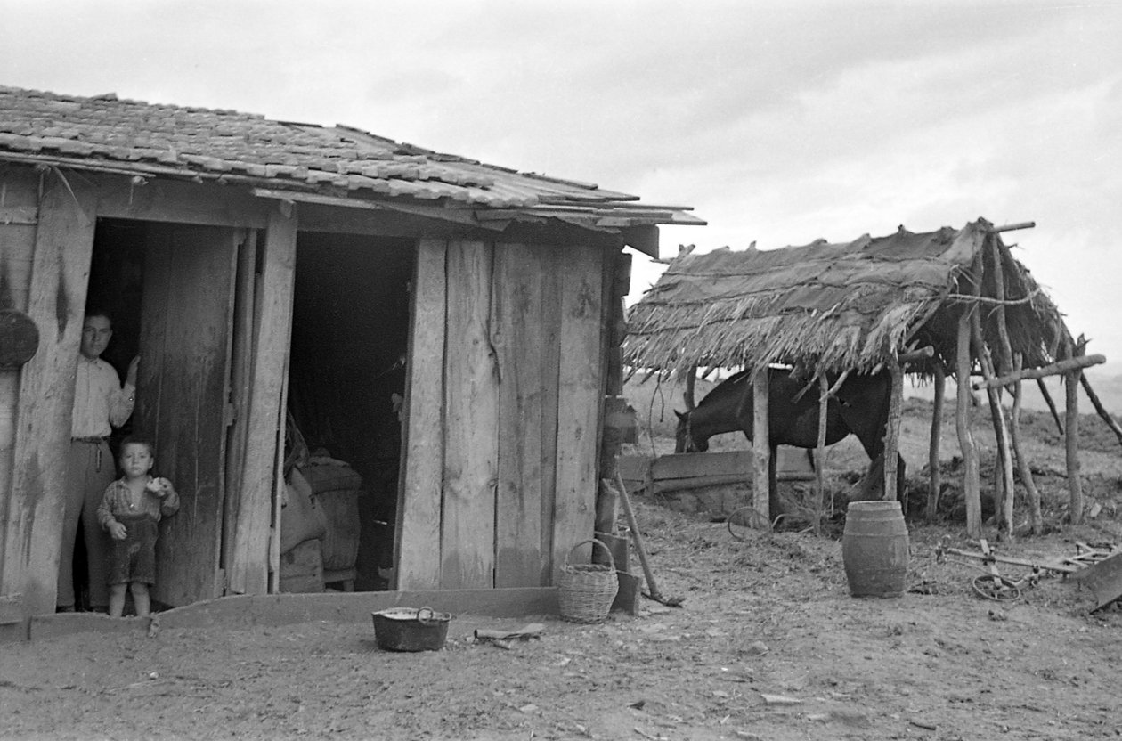 CROTONE KAMPANYASI by Ando Gilardi