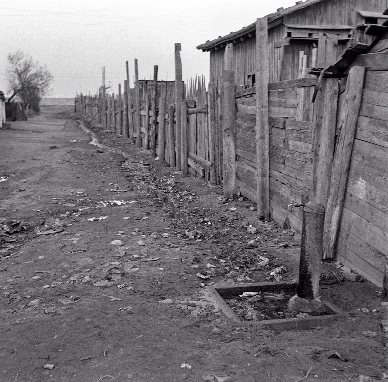 ÇEYREK SONU ŞANGHAY by Ando Gilardi