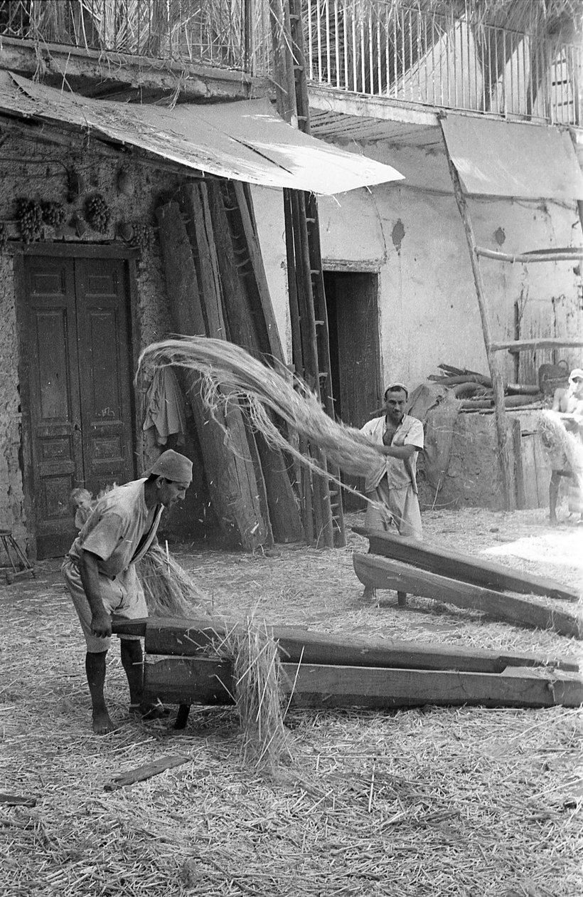 KENEVIR IŞLEME, GERME VE YUVARLAMA by Ando Gilardi