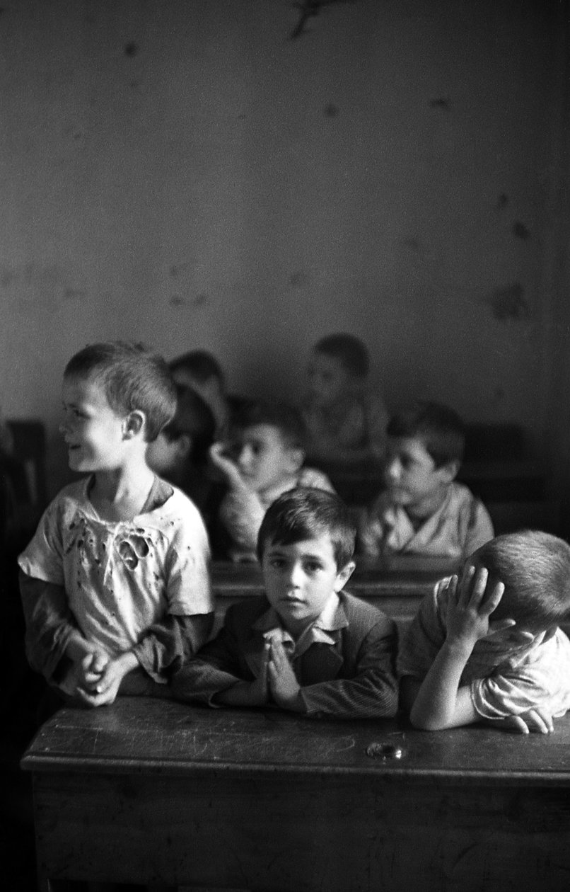 MELISSA ELEMENTAL SINIFI by Ando Gilardi