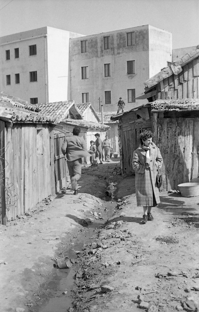 BARAKALAR VE BINALAR by Ando Gilardi