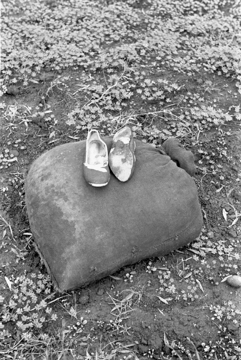 ZEYTİNLİ BİR RAKKOGLİTRİS AYAKKABISI by Ando Gilardi