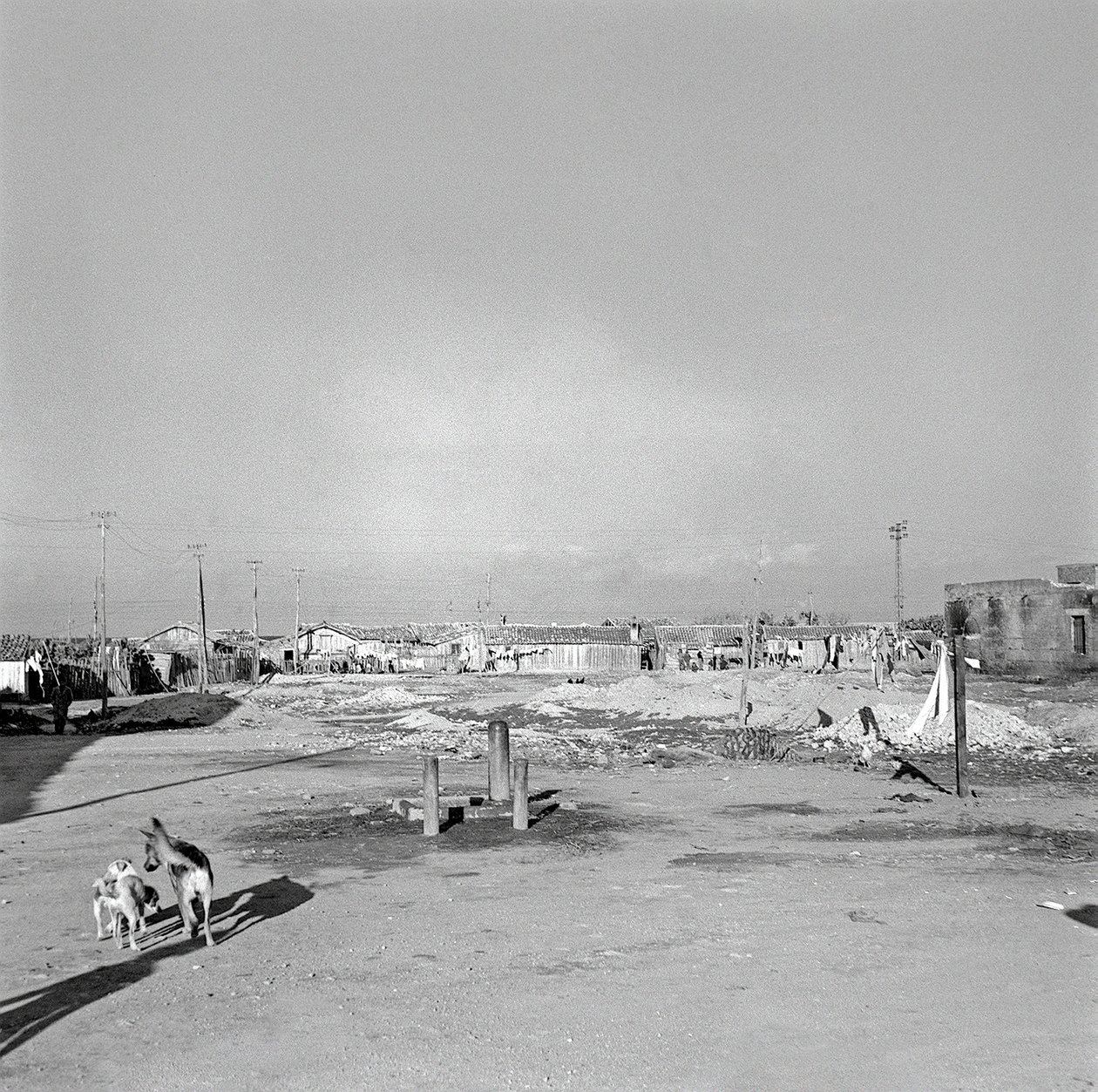 ÇALIŞMA BÖLGESİ, Crotone by Ando Gilardi