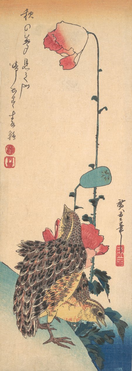 Bir Çift Bıldırcın ve Haşhaş, ca. 1835., yaklaşık 1835. by Ando Hiroshige